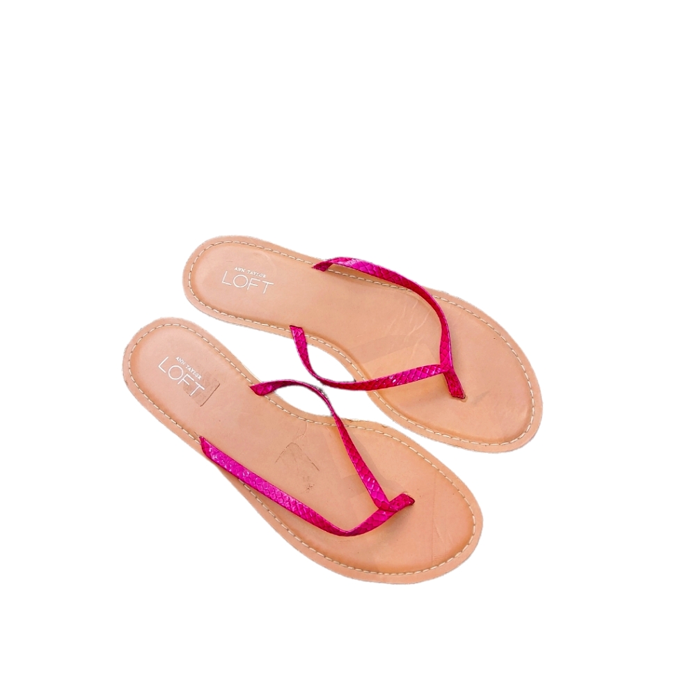 Loft Size 7 Sandles Flip Flops
